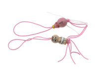 Gelukspoppetjes geboorte