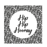Vierkante stickers hip hip hooray 10 stuks