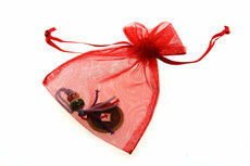 Gelukszakje chinees gelukspoppetje en geluksmunt