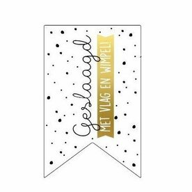 Stickers vaantje geslaagd met vlag en wimpel &ndash; Set van 10 stuksMaak al je geschenkjes en examencadeautjes helemaal af met dez