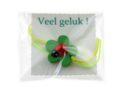 Gelukszakje Veel geluk met geluks lieveheersbeestje op blad