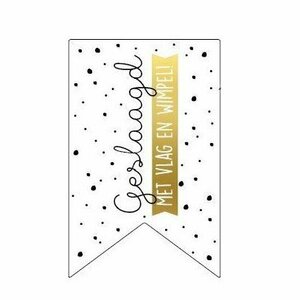 Stickers vaantje geslaagd met vlag en wimpel – Set van 10 stuksMaak al je geschenkjes en examencadeautjes helemaal af met dez